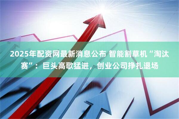 2025年配资网最新消息公布 智能割草机“淘汰赛”：巨头高歌猛进，创业公司挣扎退场