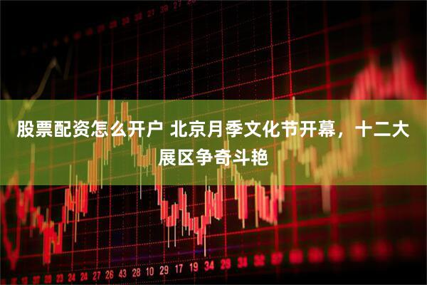 股票配资怎么开户 北京月季文化节开幕，十二大展区争奇斗艳