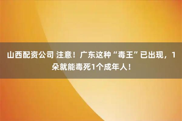山西配资公司 注意！广东这种“毒王”已出现，1朵就能毒死1个成年人！